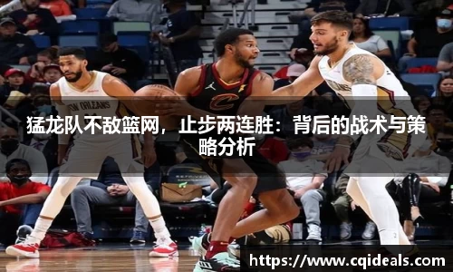 猛龙队不敌篮网，止步两连胜：背后的战术与策略分析