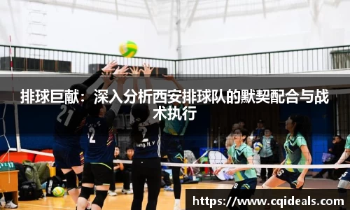 排球巨献：深入分析西安排球队的默契配合与战术执行