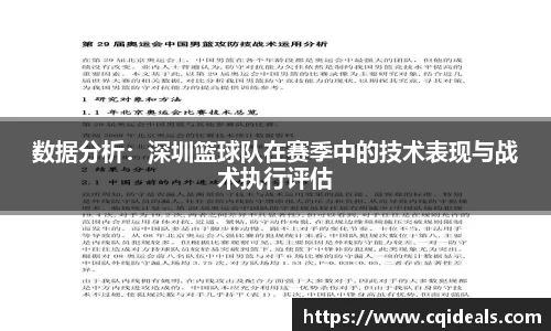 数据分析：深圳篮球队在赛季中的技术表现与战术执行评估