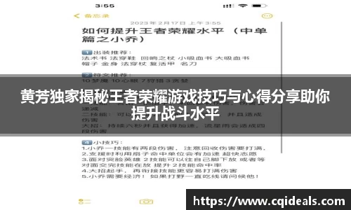 黄芳独家揭秘王者荣耀游戏技巧与心得分享助你提升战斗水平