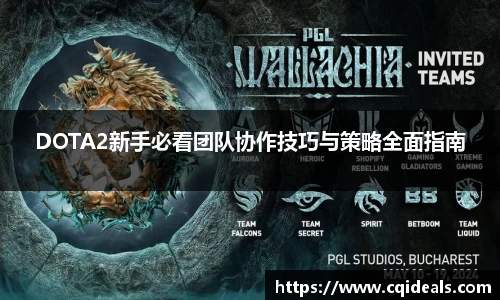 DOTA2新手必看团队协作技巧与策略全面指南